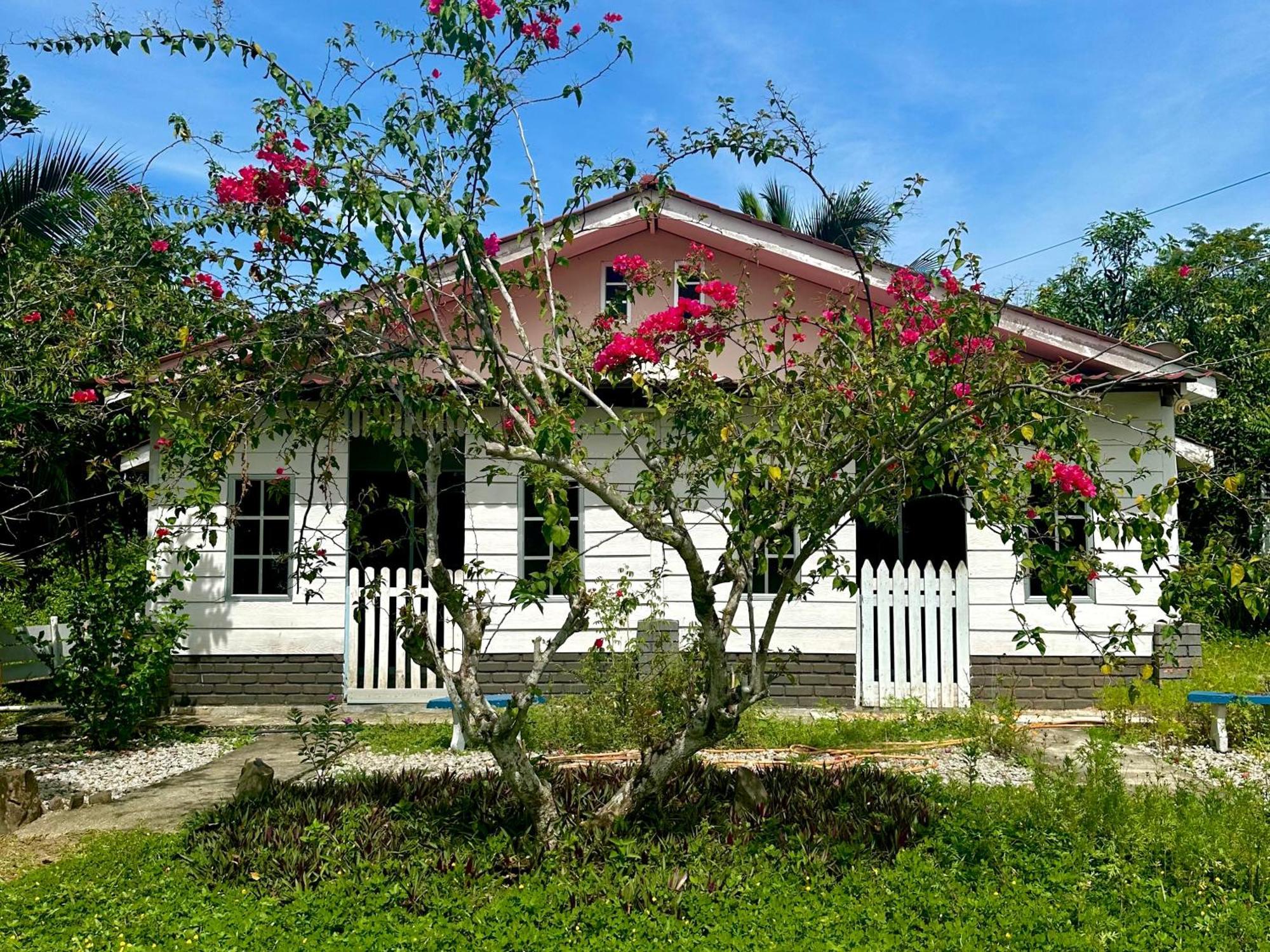 Kapal Terbang Guest House Langkawi Pantai Cenang  Exteriér fotografie